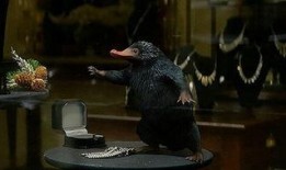 神奇动物四月爆料视频,神秘生物齐聚，魔法世界再掀波澜