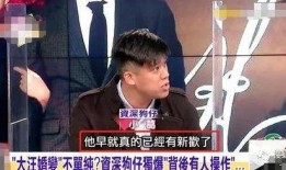 爆料汪小菲韩国开店视频,揭秘新店风采与经营策略